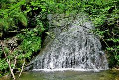 Wasser ist der Ursprung allen Lebens