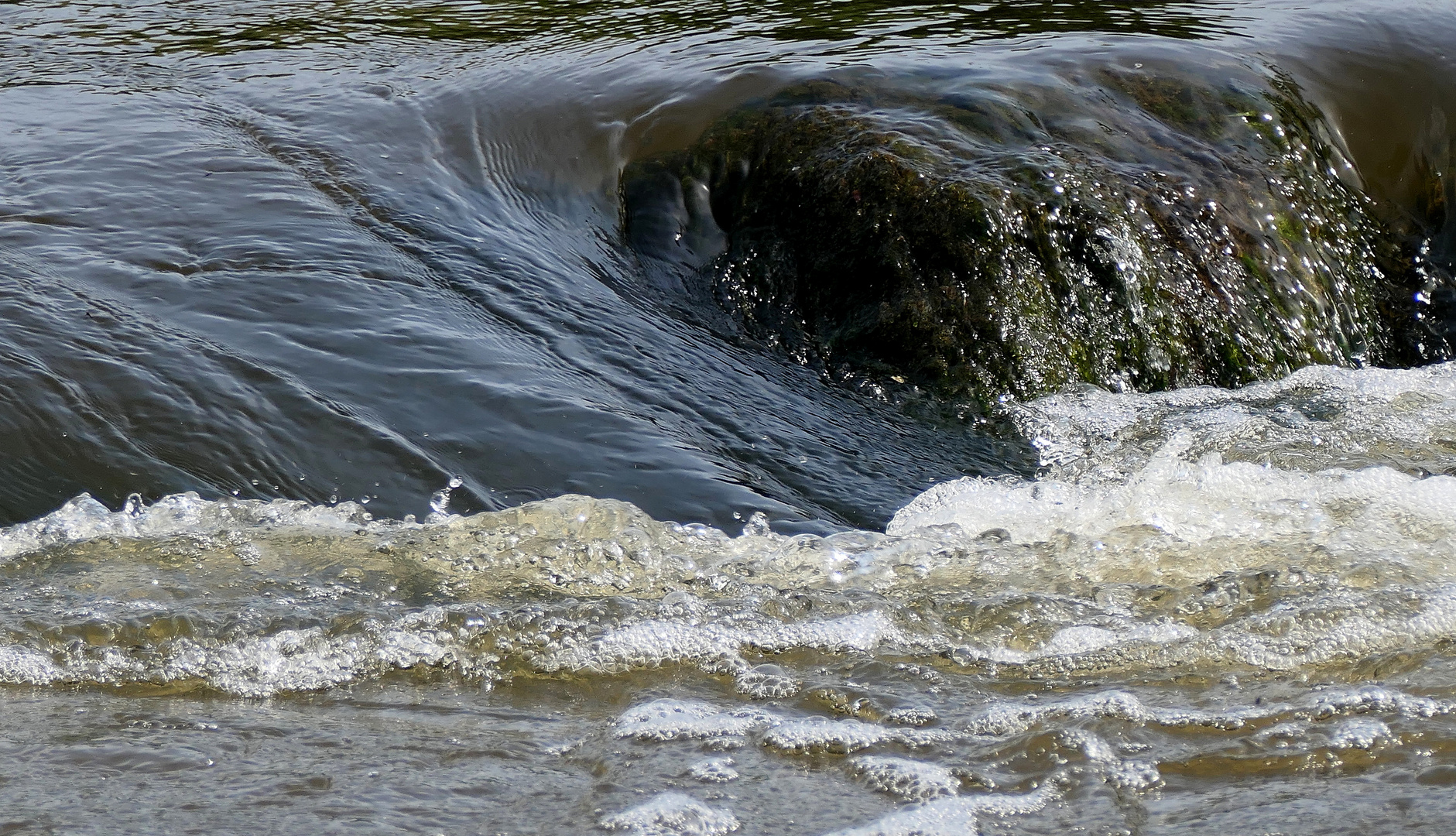 Wasser ist die Grundlage allen Lebens auf der Erde