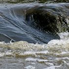 Wasser ist die Grundlage allen Lebens auf der Erde