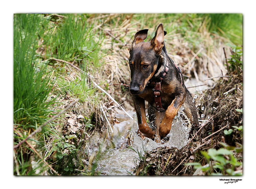 ~~wasser ist einfach nur genial~~