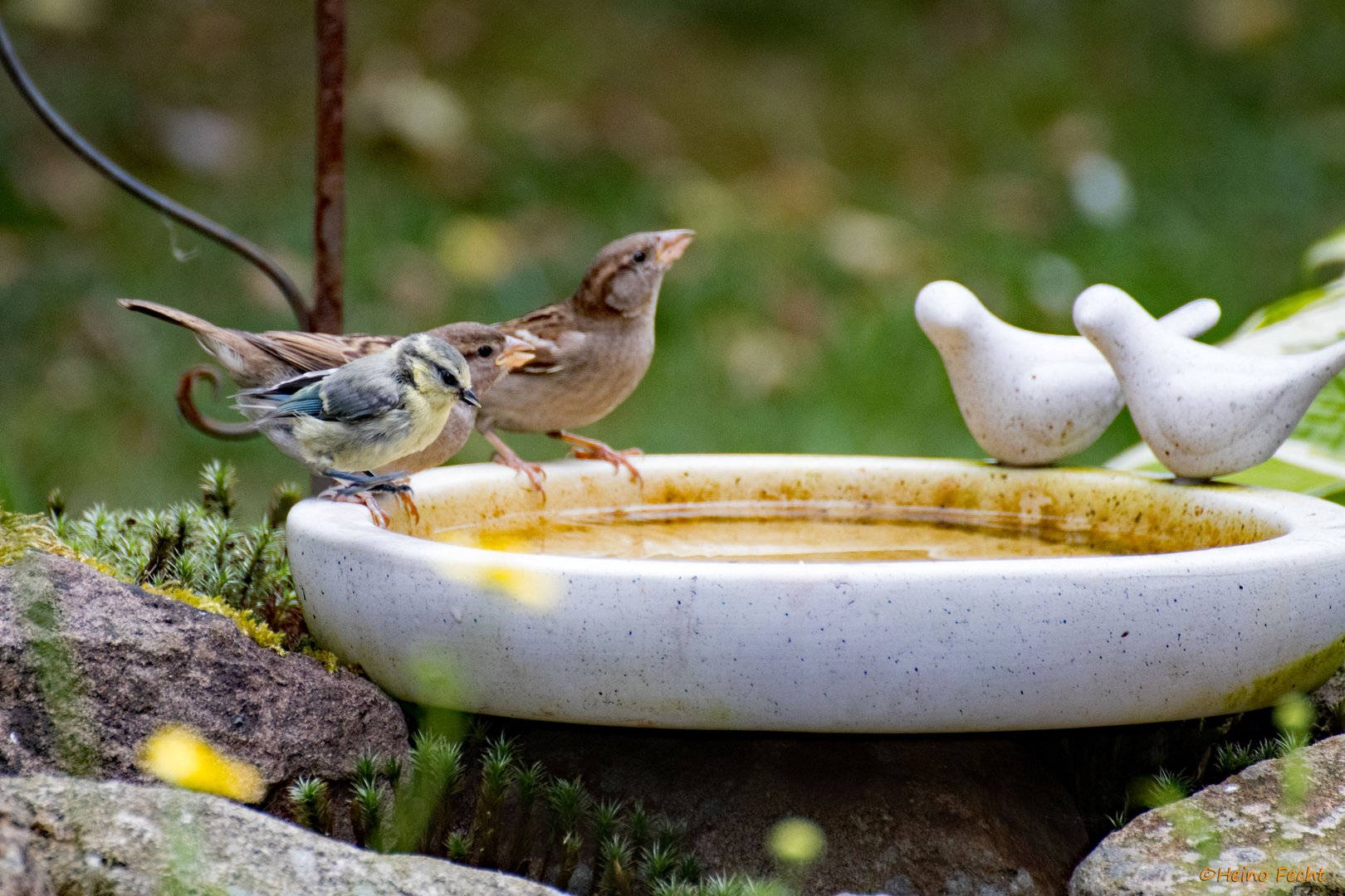 Wasser ist für alle da 