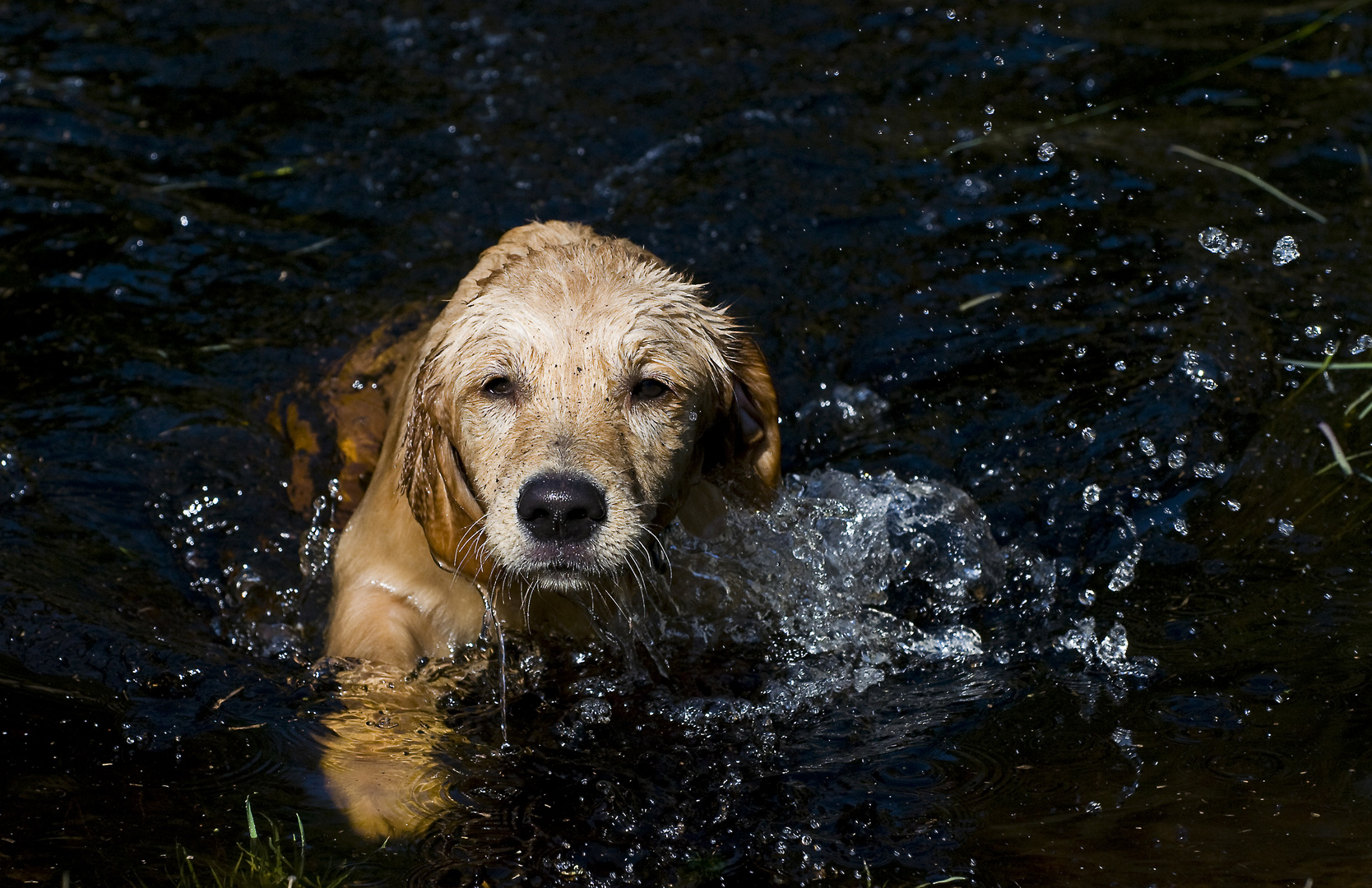 Wasser ist geil