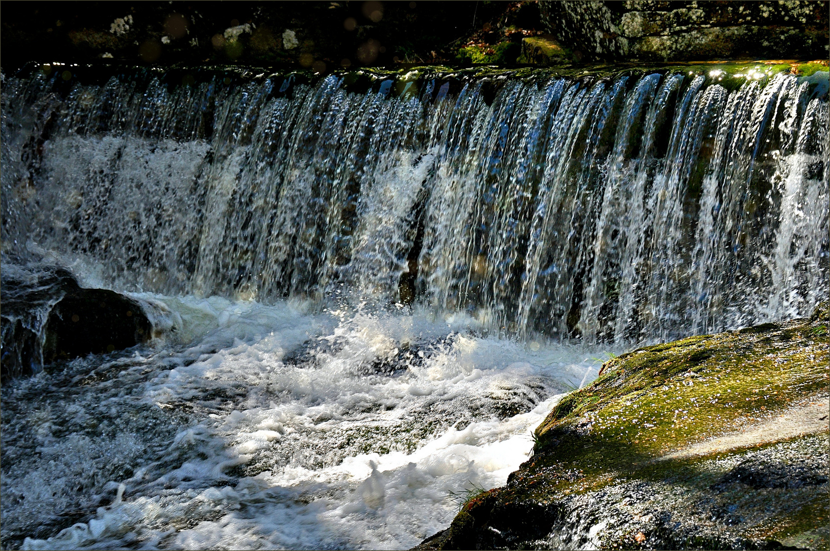 Wasser ist Leben