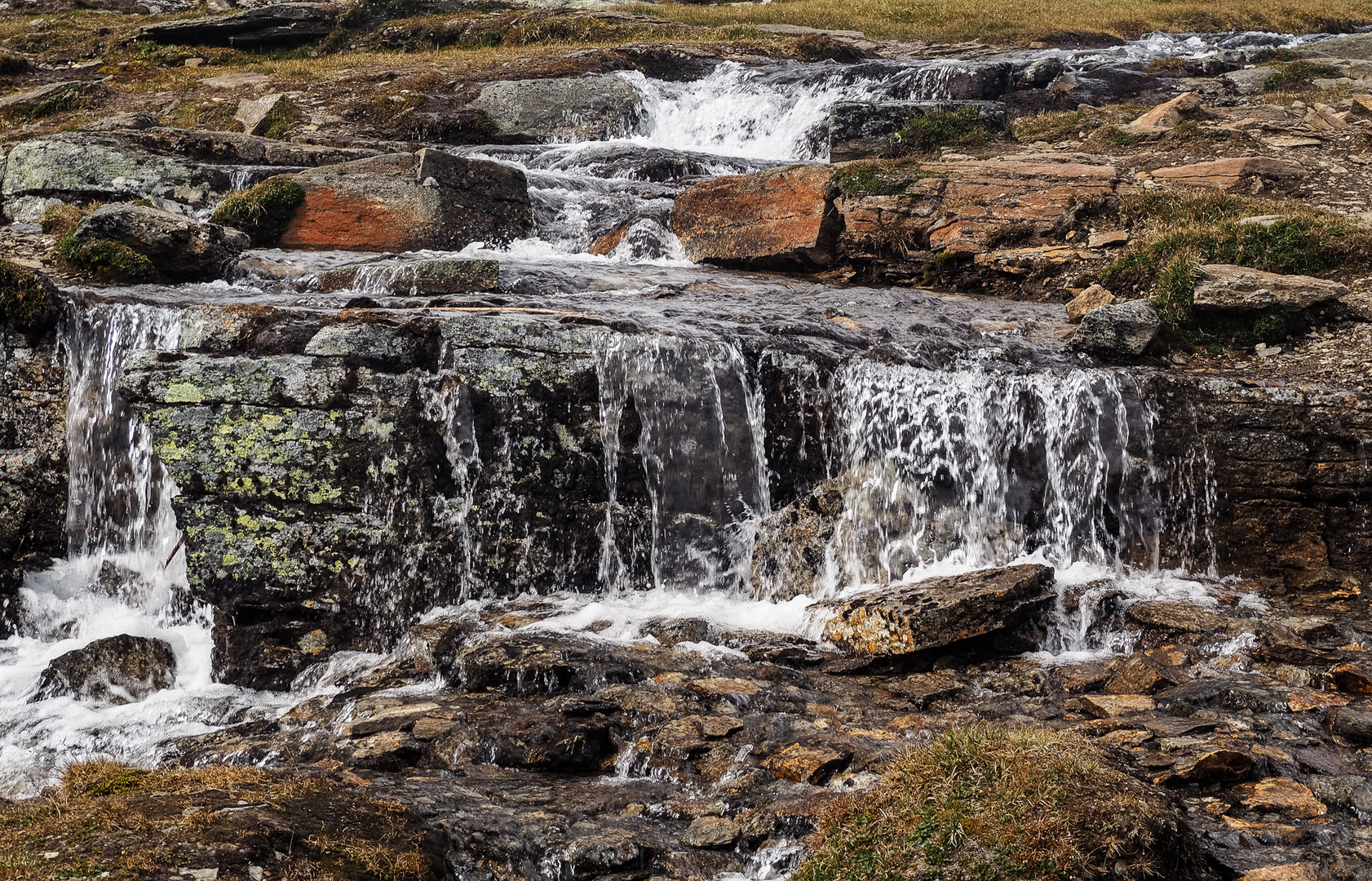 Wasser ist Leben 