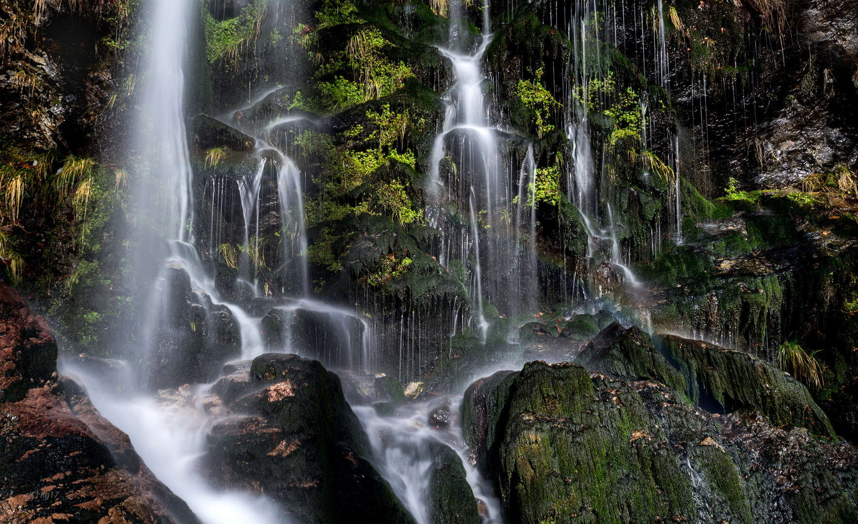 wasser ist leben