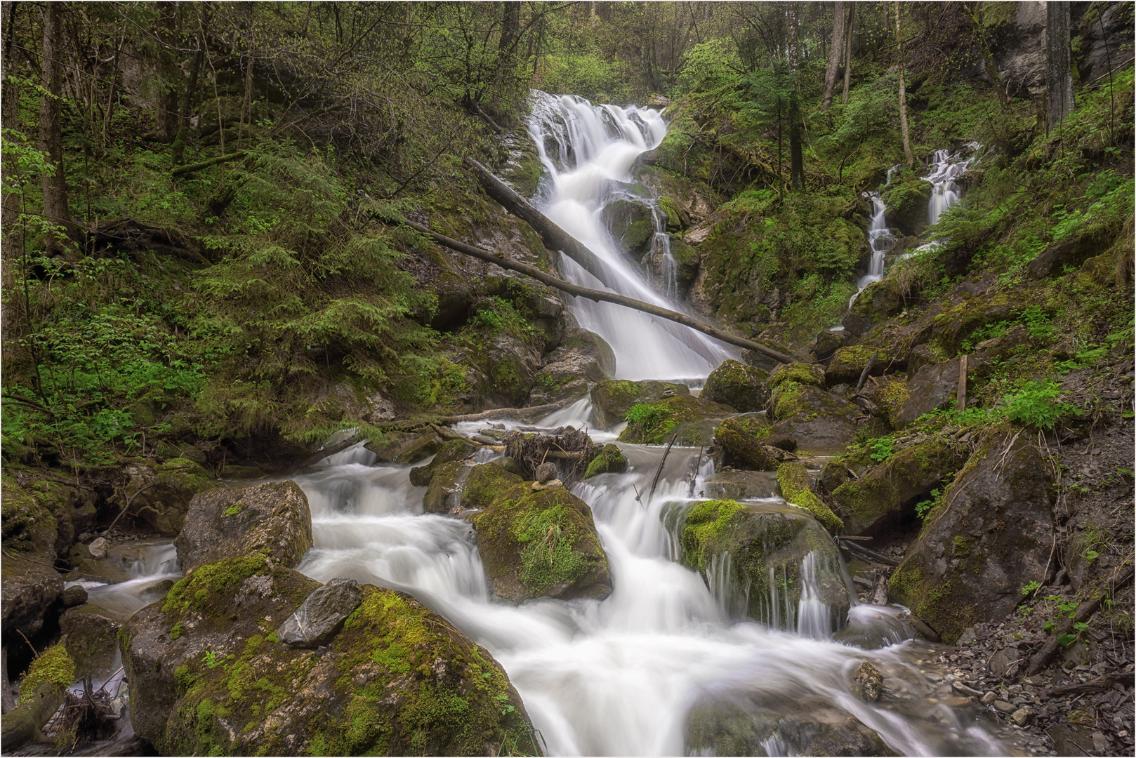 Wasser ist Leben