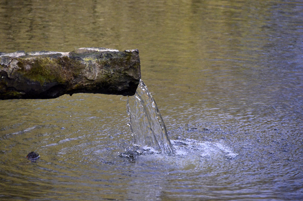 Wasser ist Leben