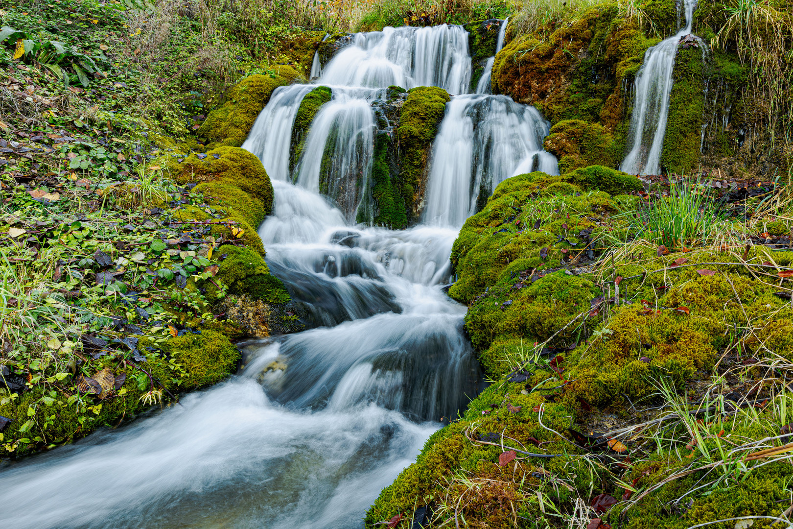 Wasser ist Leben