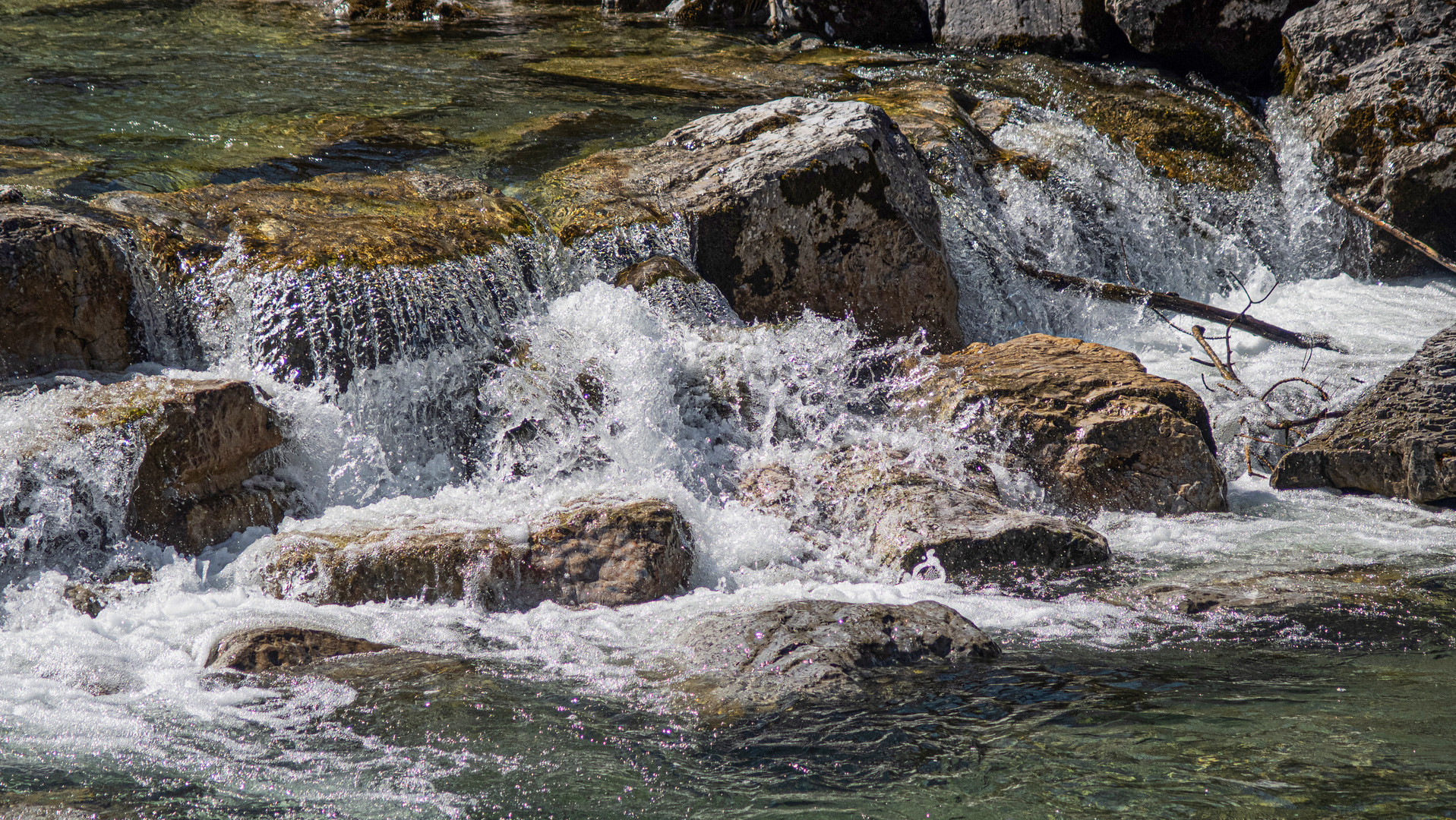 Wasser ist Leben 