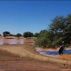 Wasser ist Leben