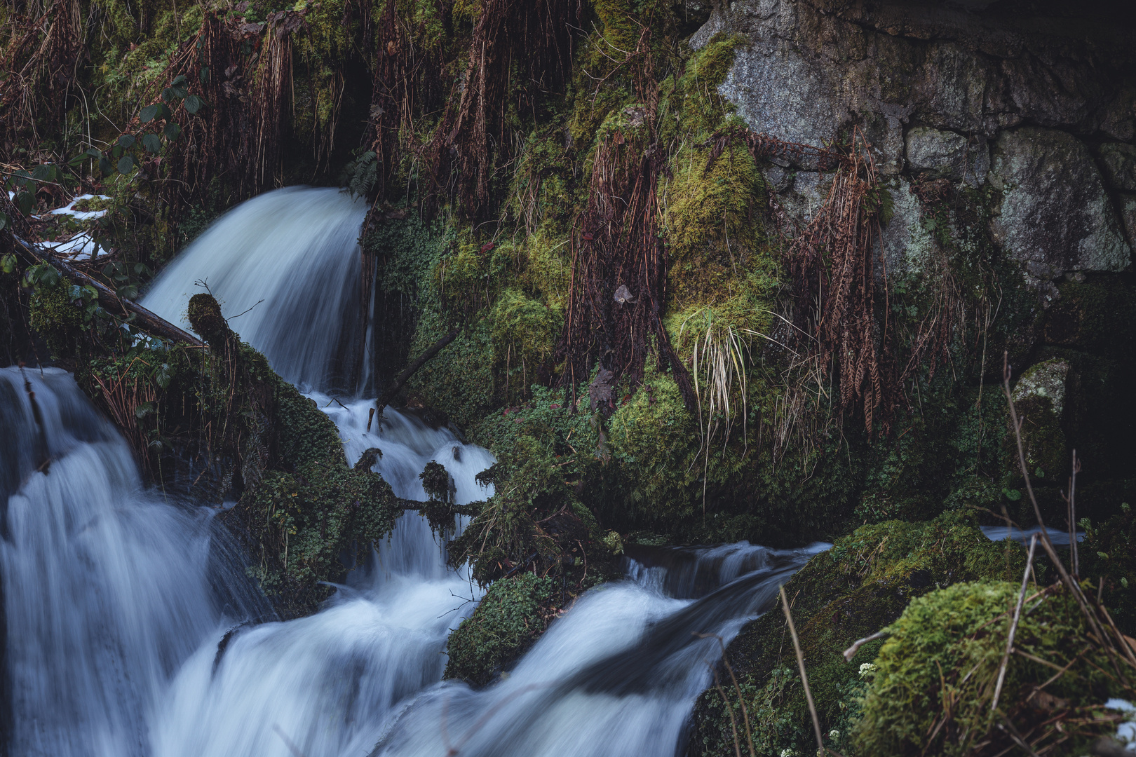 Wasser ist Leben.