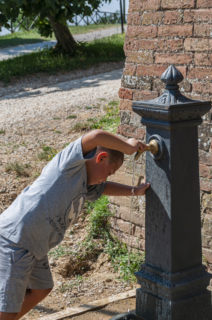 Wasser ist Leben