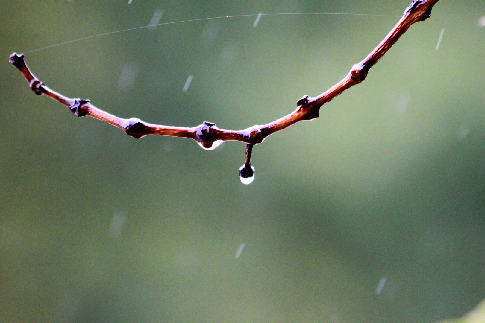 Wasser ist Leben