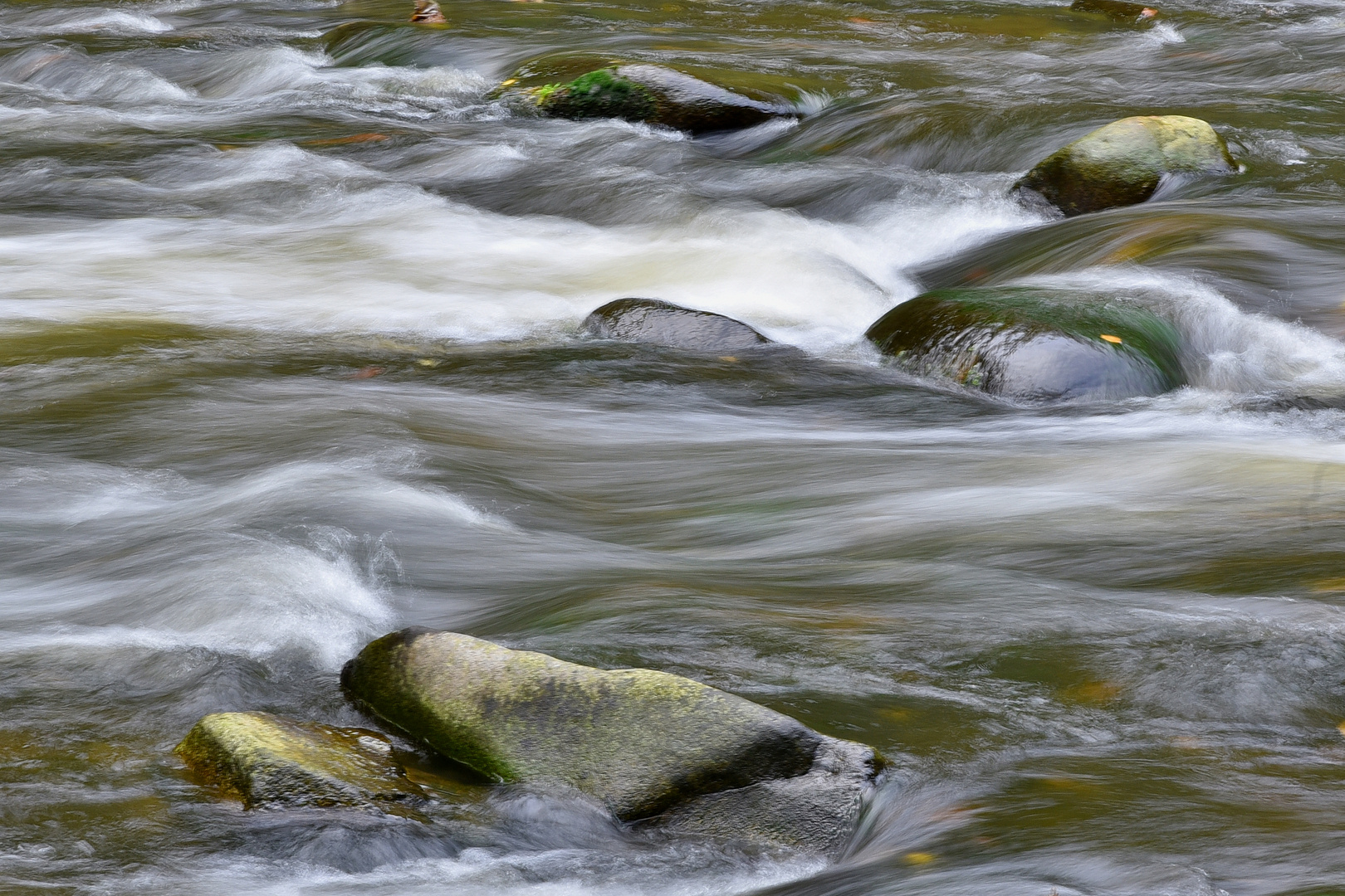 Wasser ist Leben