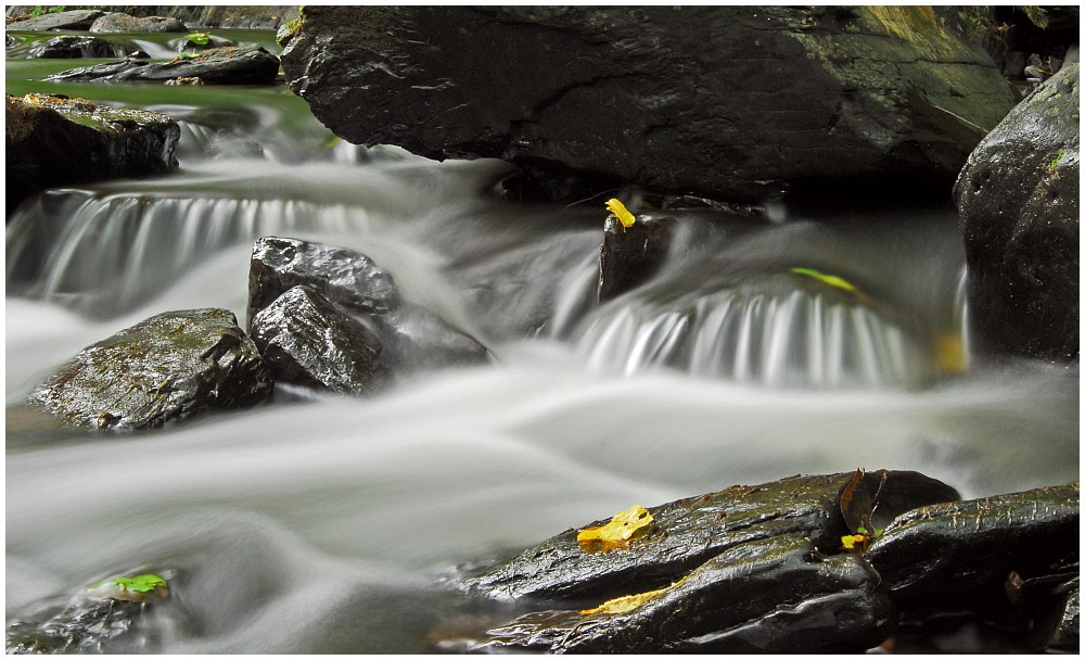 Wasser ist Leben II