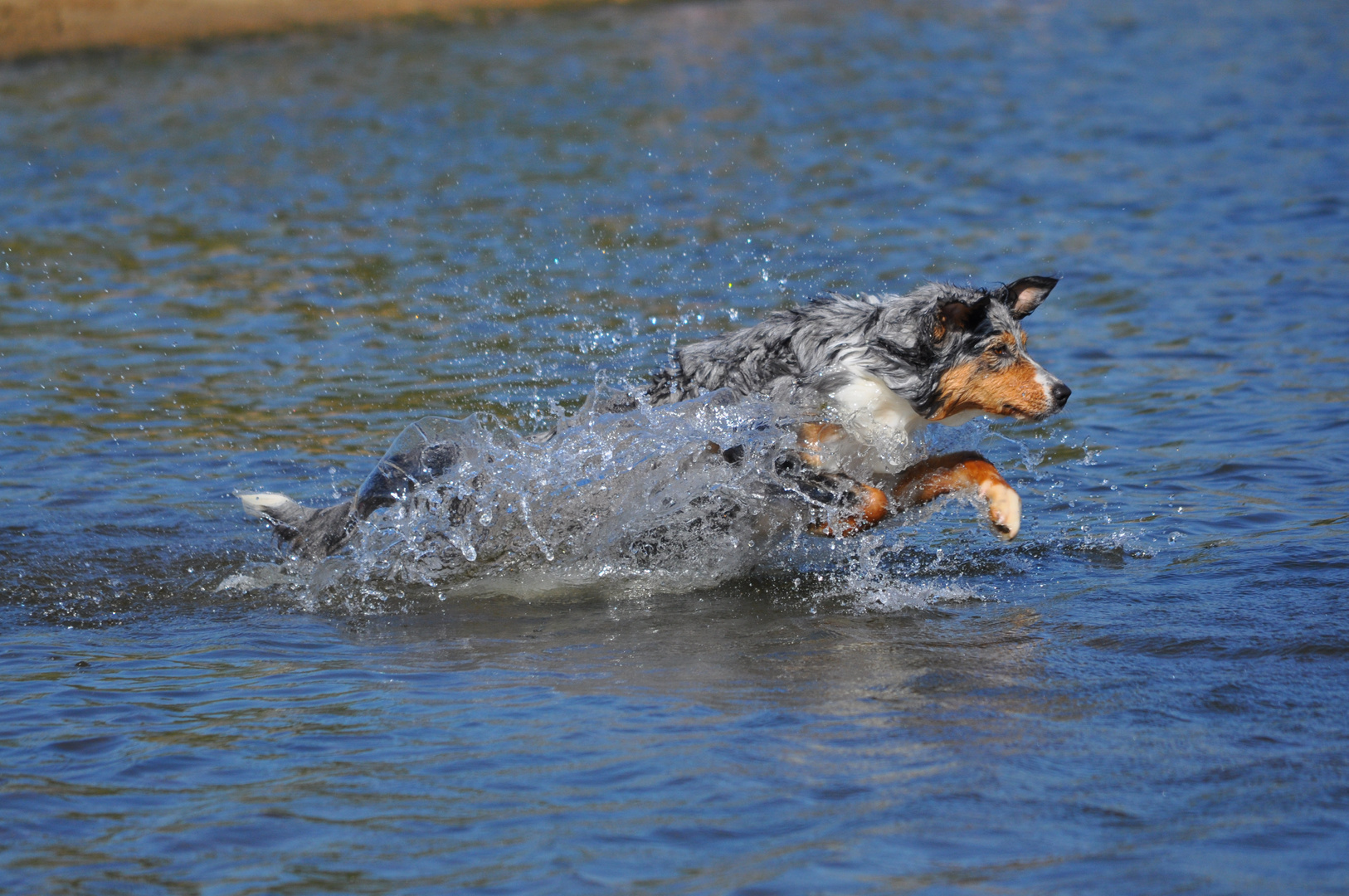 Wasser ist mein Element