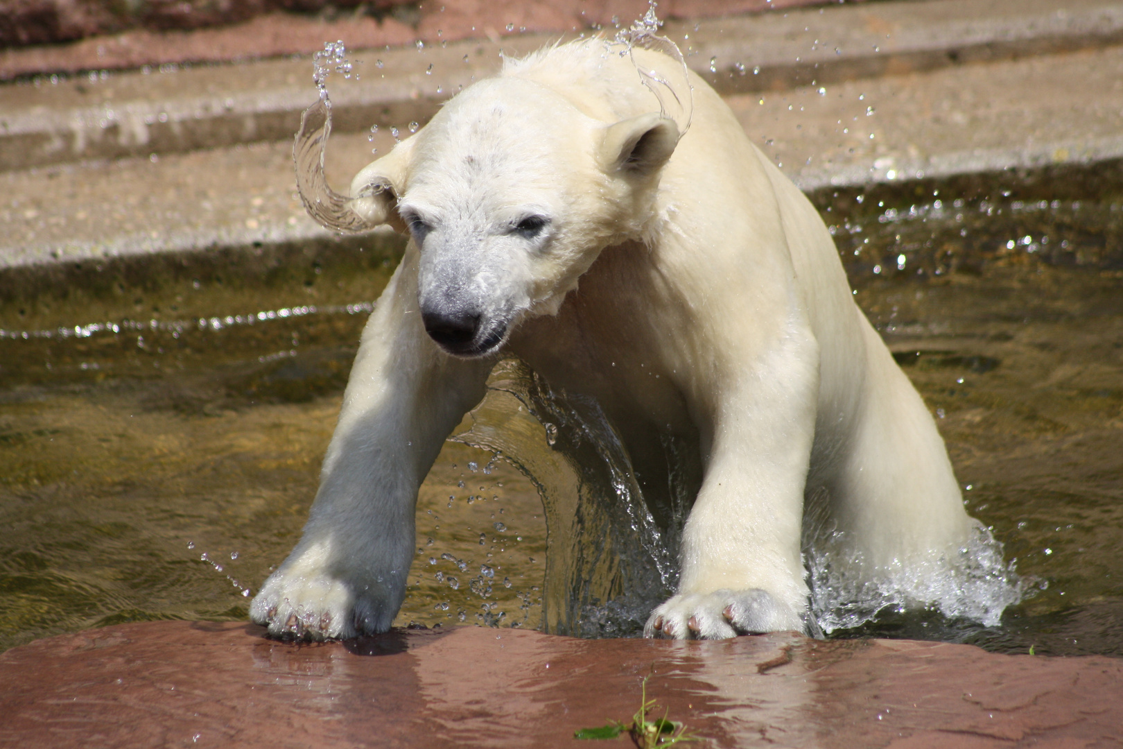 Wasser ist nass