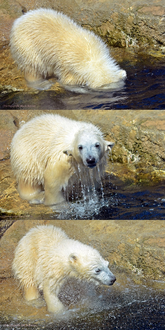 Wasser ist nass!