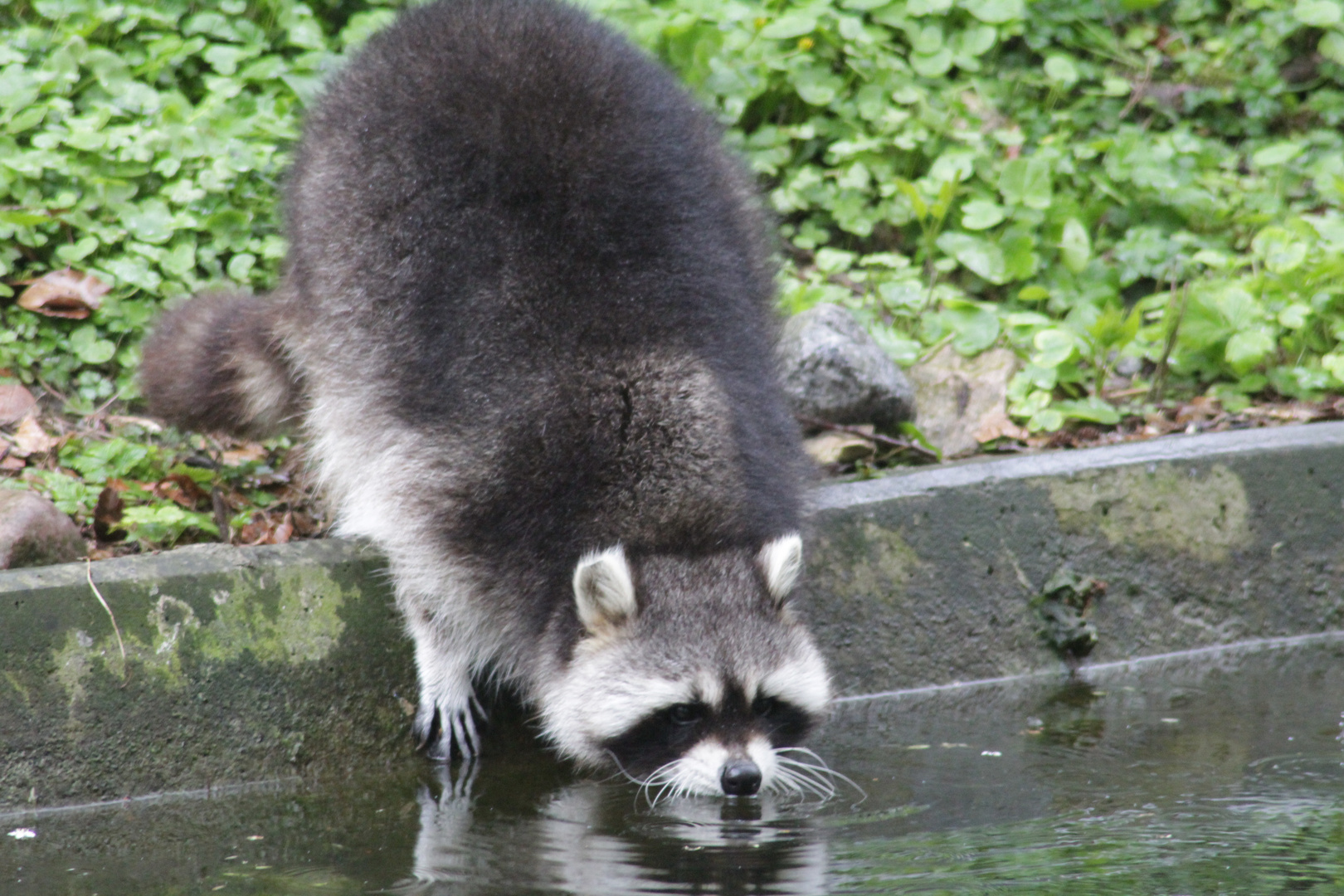 Wasser ist nicht nur zum Waschen da..