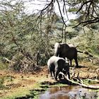 Wasser ist nötig, Kenia 2005