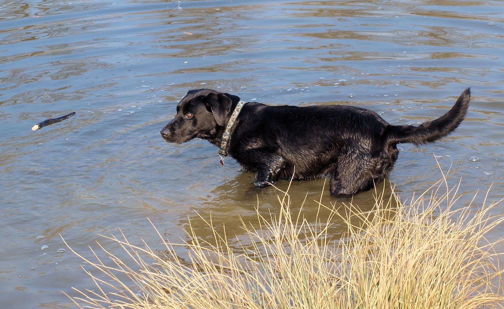 Wasser ist seine Leidenschaft...