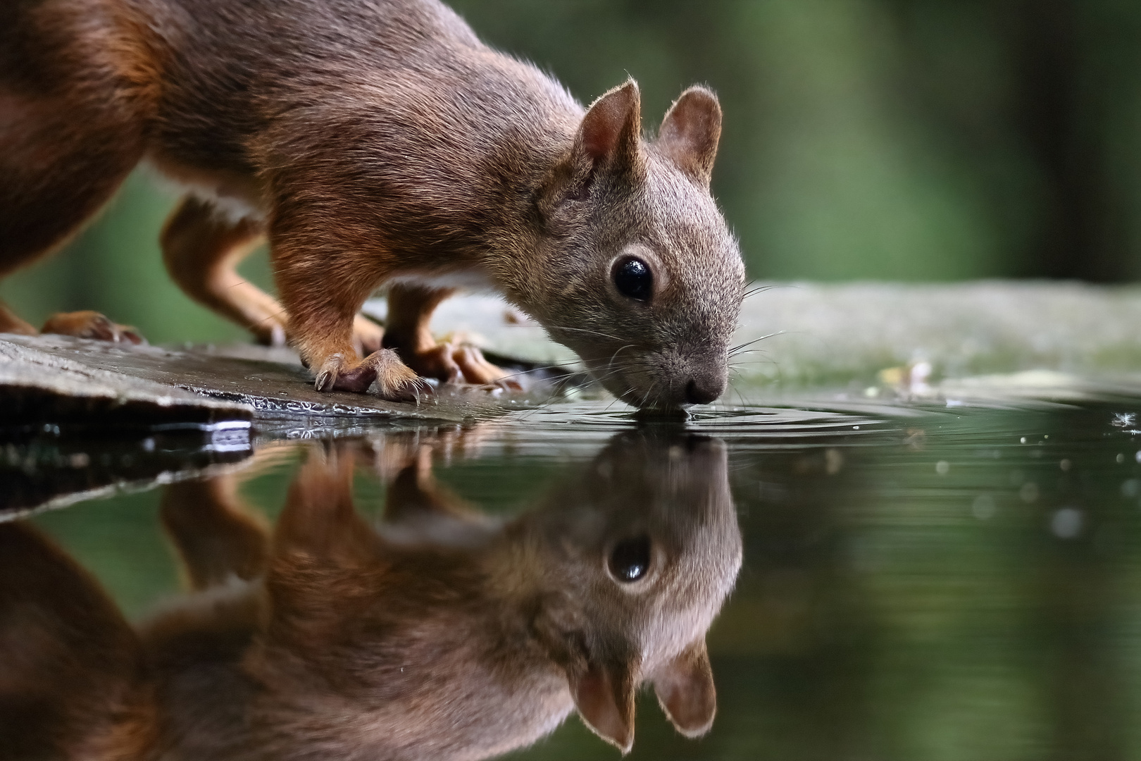 Wasser ist unser wichtigstes Lebensmittel!!