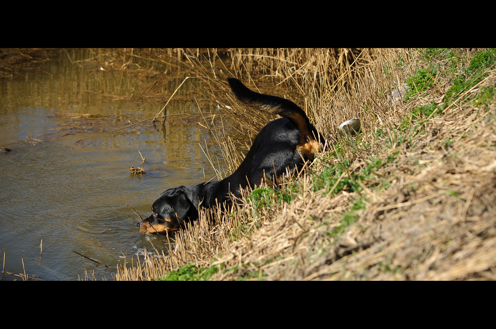 Wasser ist zum Trinken...