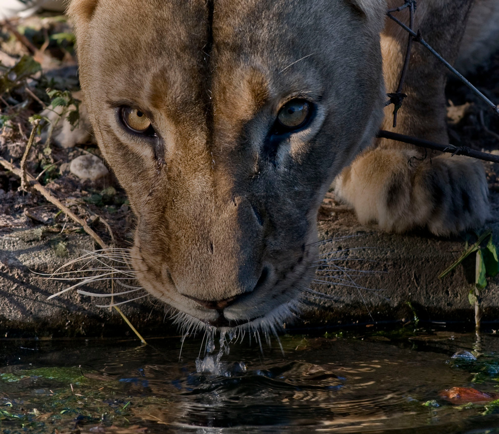 Wasser kann Leben retten