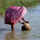 Wasser - kostbares Naß für Frosch und Prinzessin