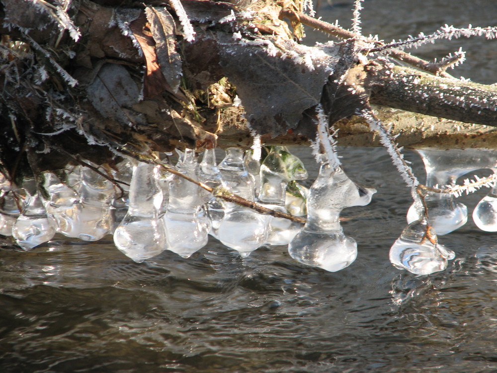 Wasser küsst Eis