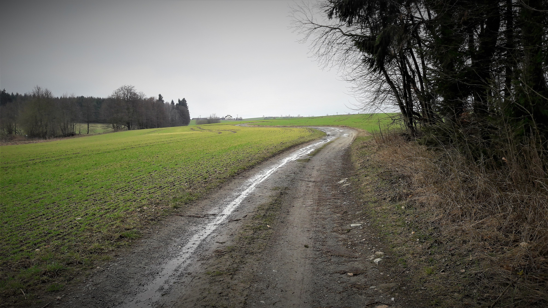 Wasser läuft auf dem Wasserscheideweg