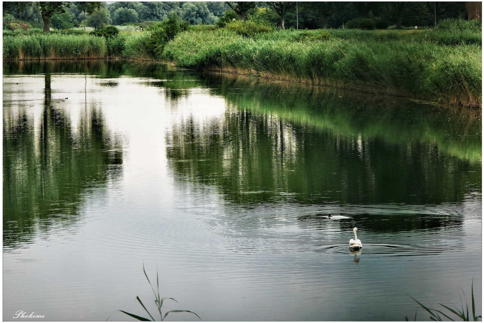 Wasser Landschaft