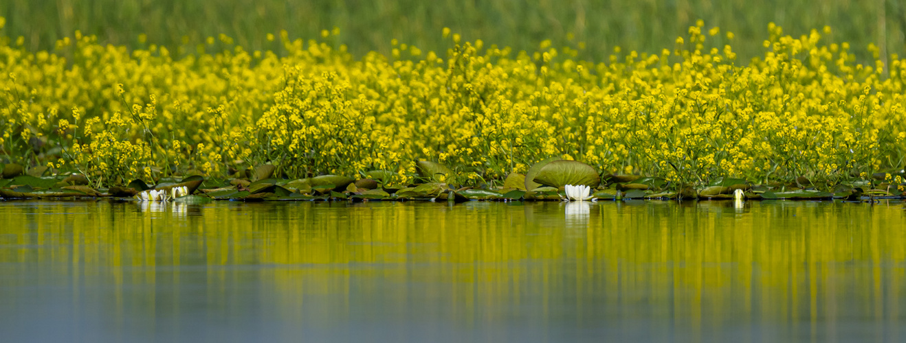 Wasser-Landschaften