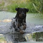 Wasser Lebens - Elexier und Fun - Faktor