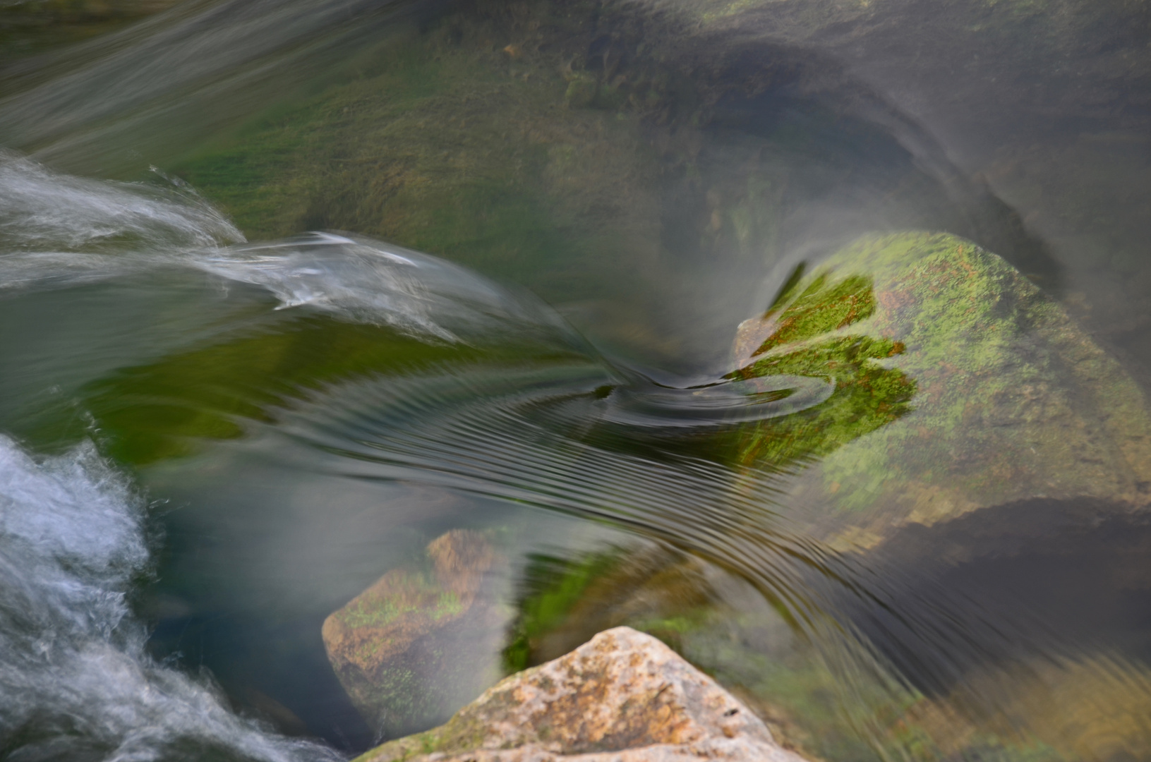 Wasser- Lebenselexier