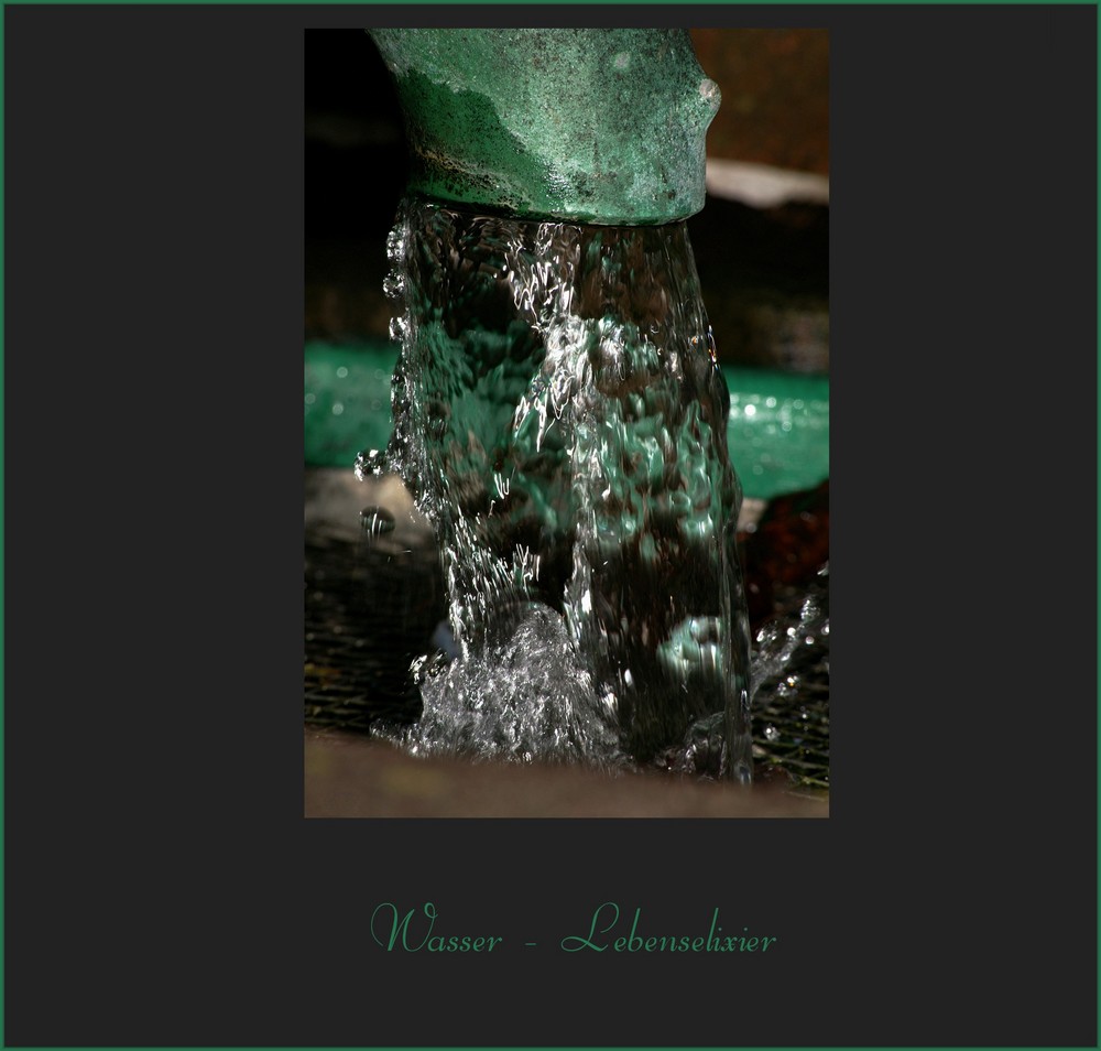 Wasser - Lebenselixier