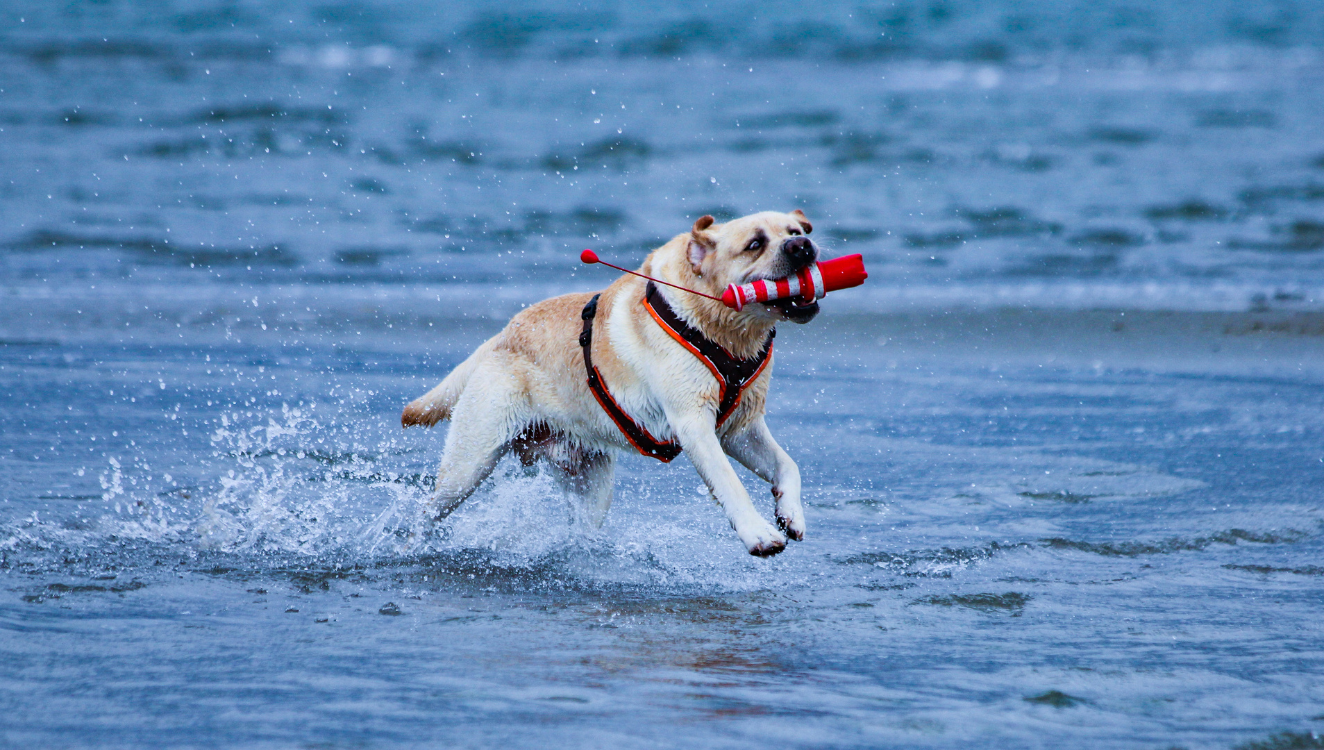                    -Wasser = Lebensfreude-