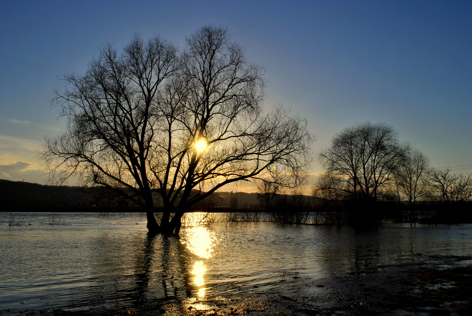 Wasser, Licht und Bäume