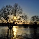 Wasser, Licht und Bäume