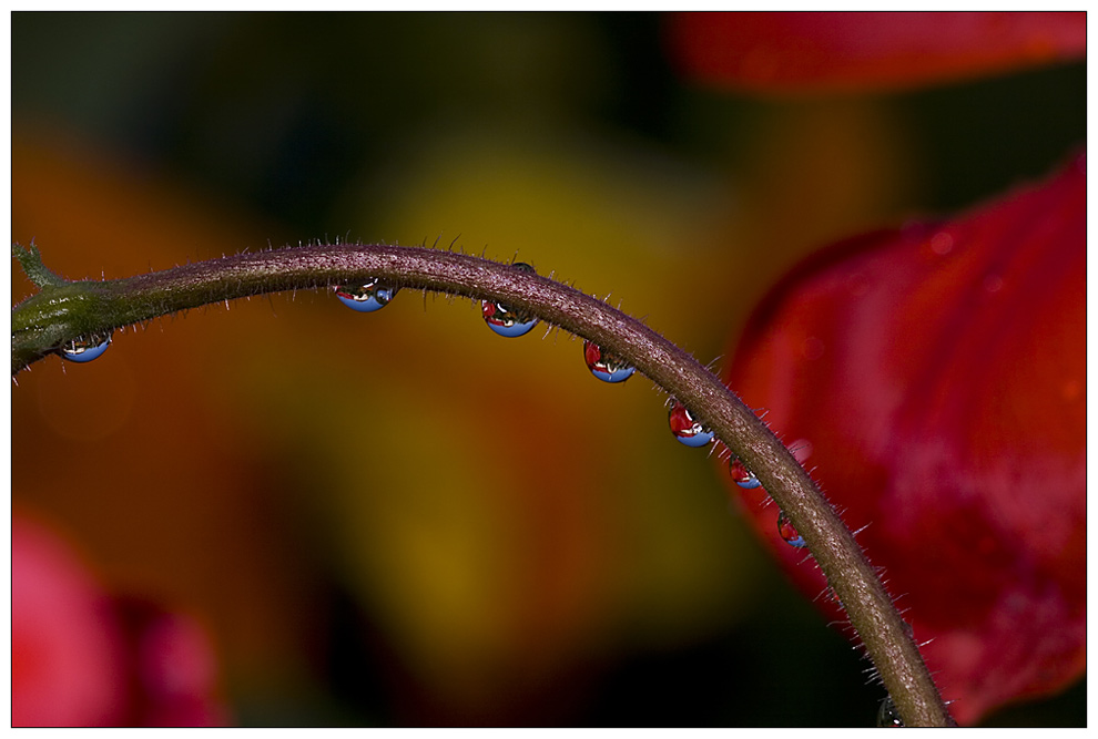 Wasser, Licht und Farbe