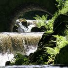 Wasser, Licht und frisches Grün.