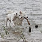 Wasser macht auch Spass bei schlechtem Wetter ...