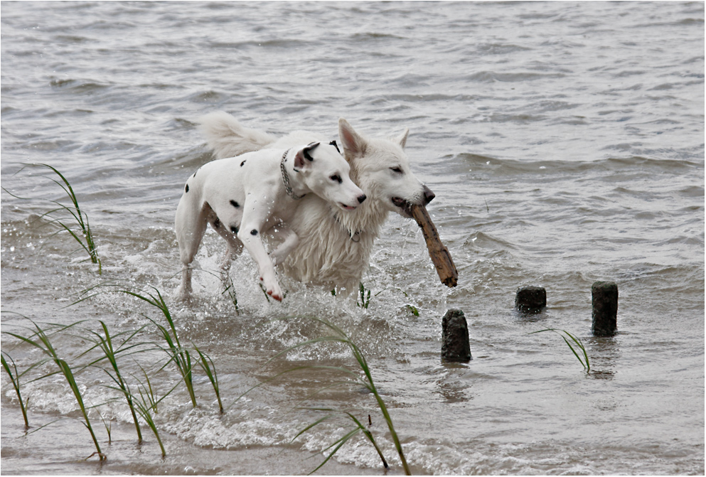 Wasser macht auch Spass bei schlechtem Wetter ...