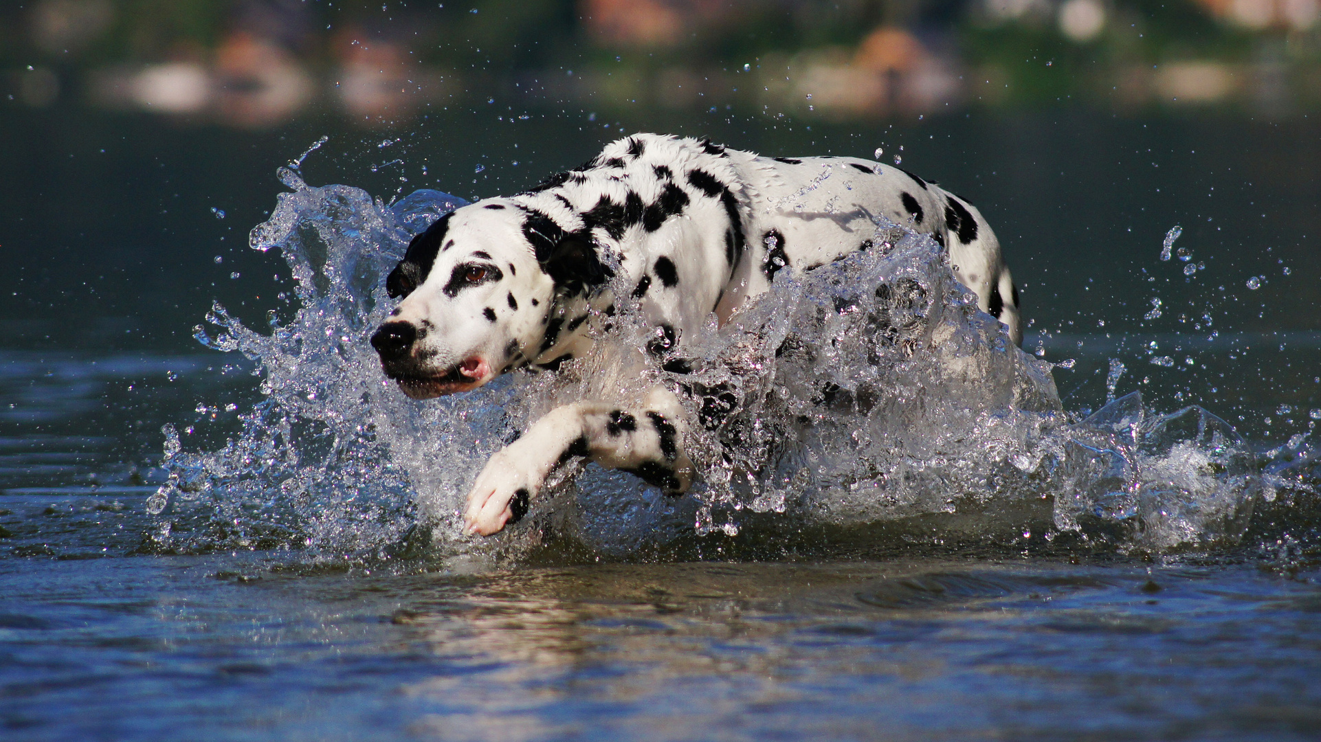 Wasser marsch!!!