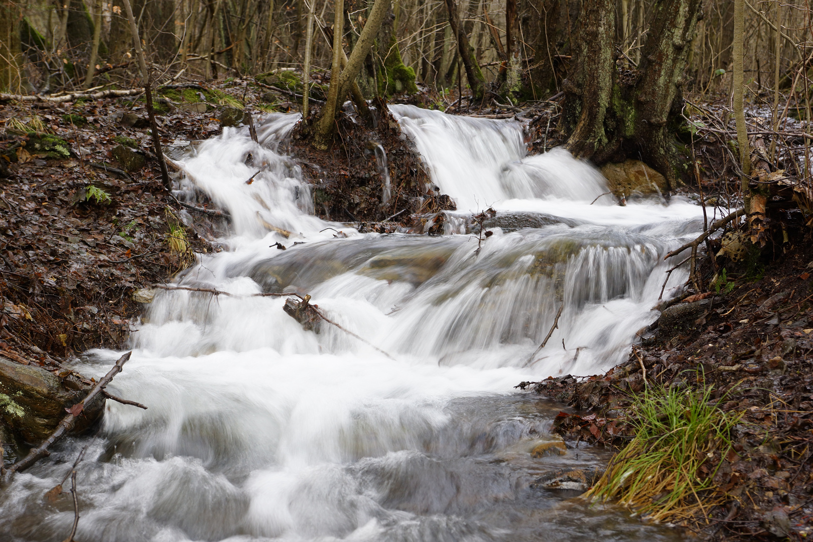 Wasser Marsch