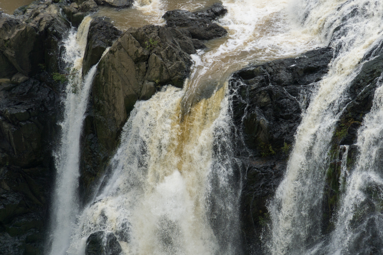 Wasser - marsch!