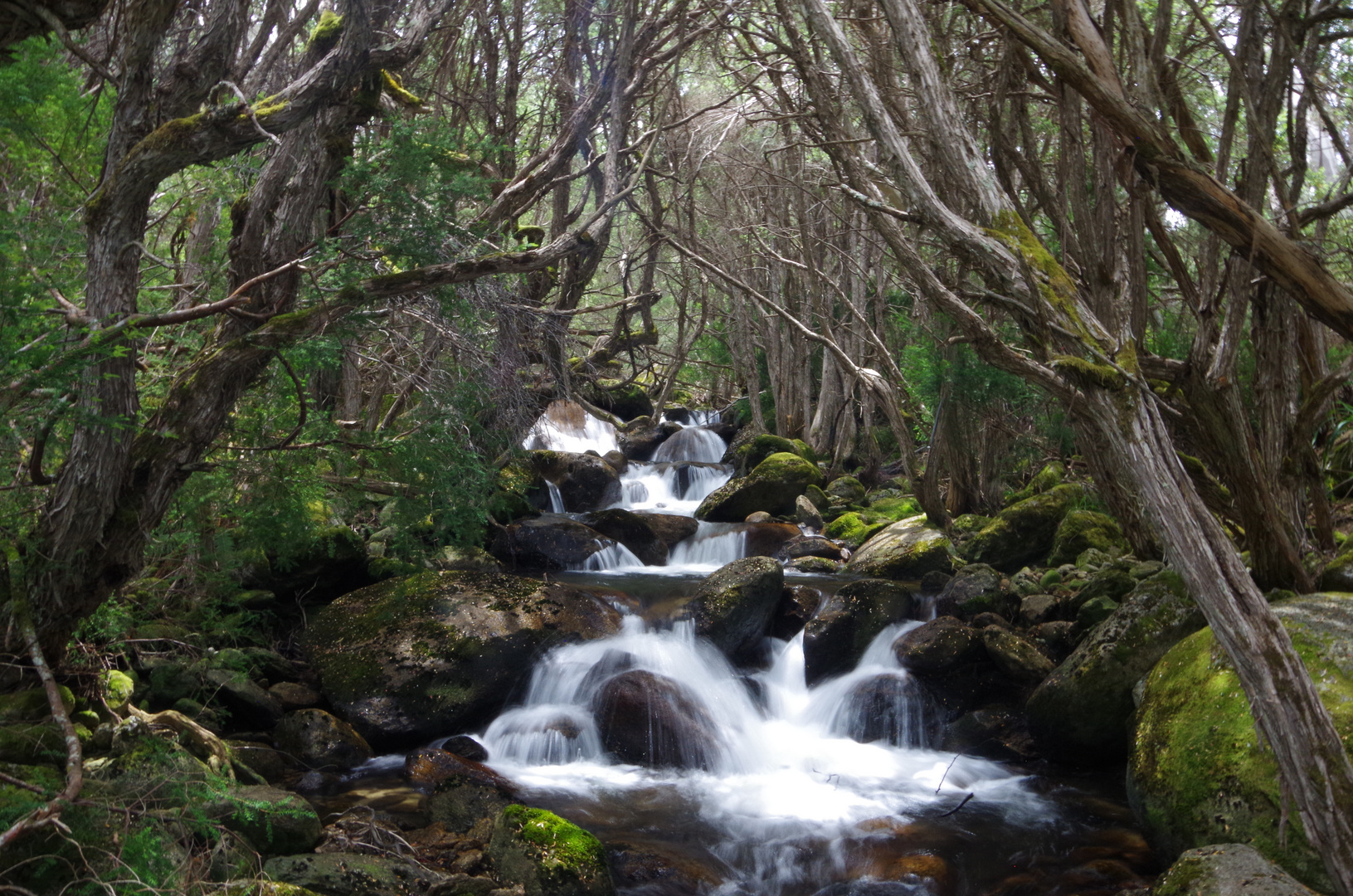 Wasser marsch...