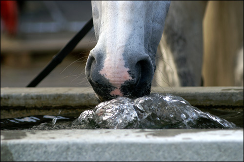 Wasser Marsch