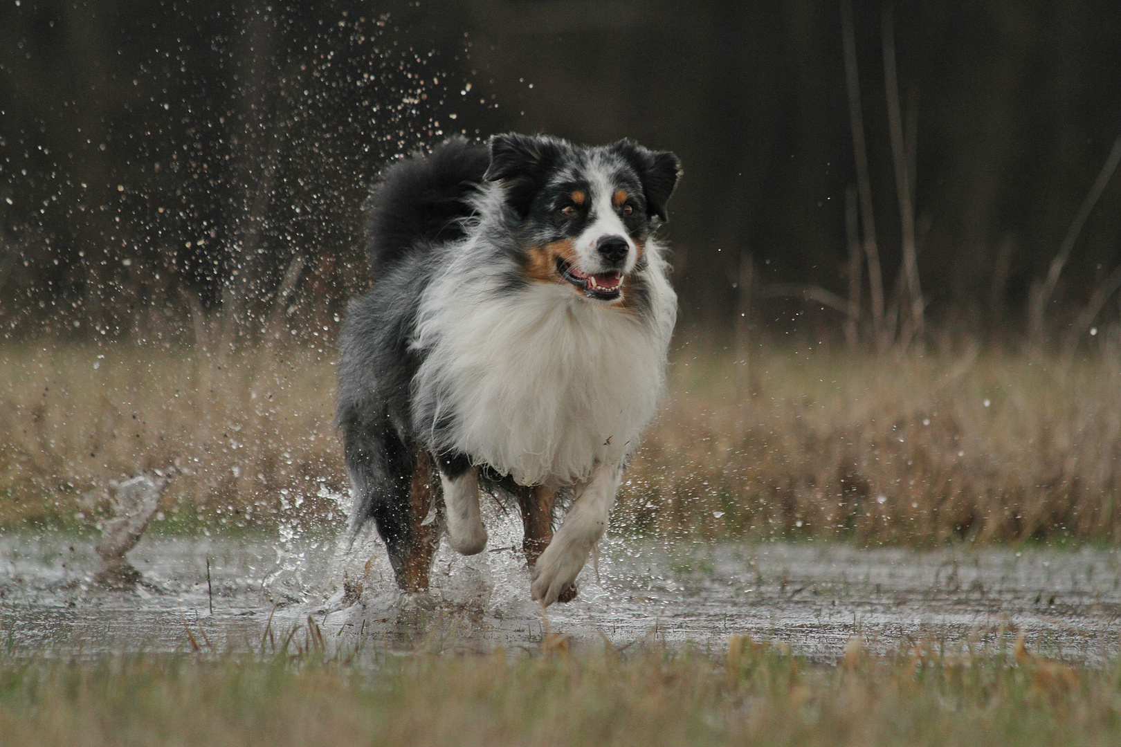 Wasser - Marsch !!