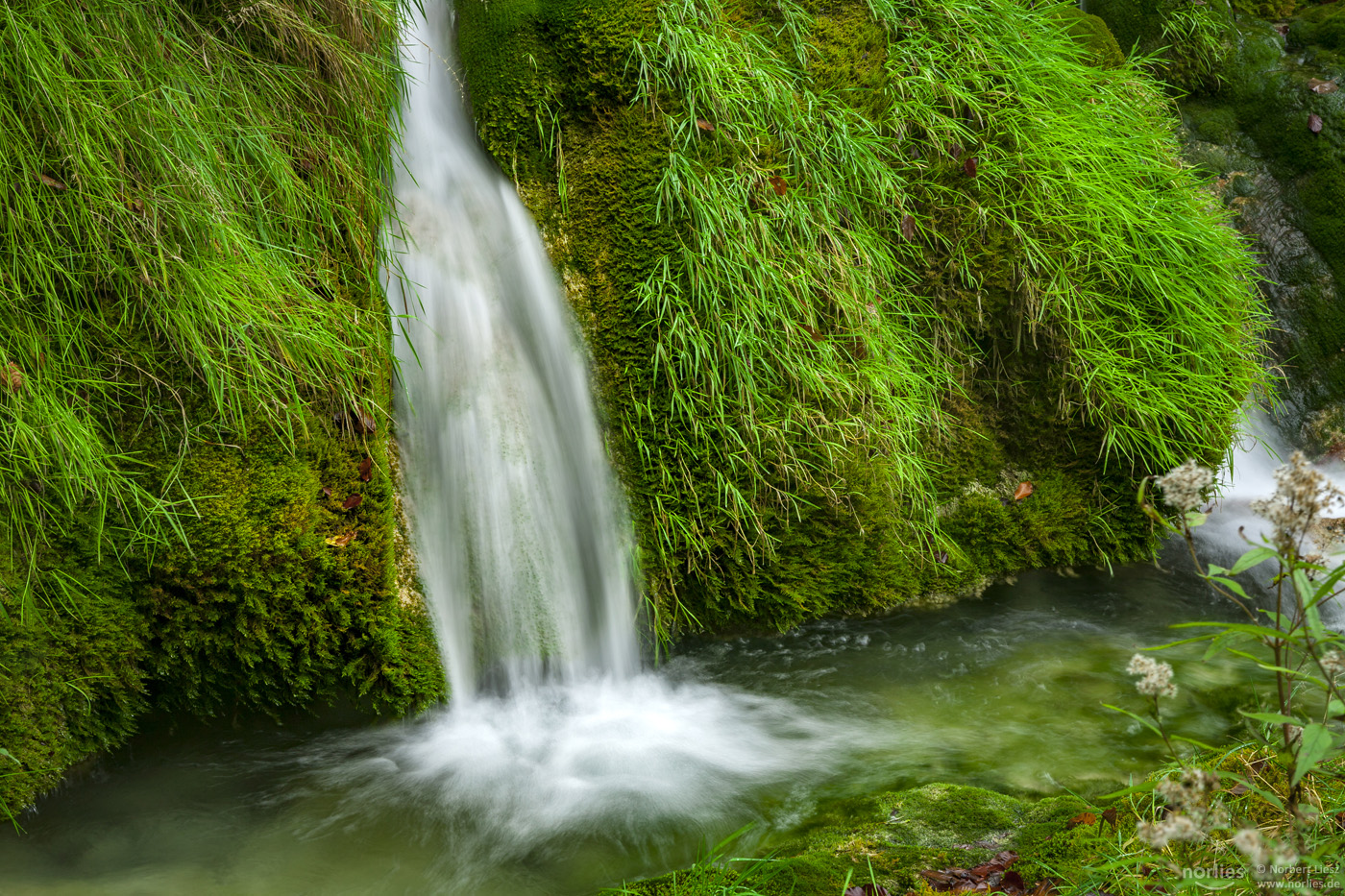 Wasser marsch!